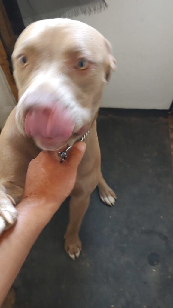 IMG_20250805_162321531