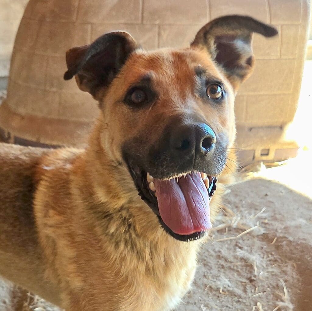 Jamie_featured_image