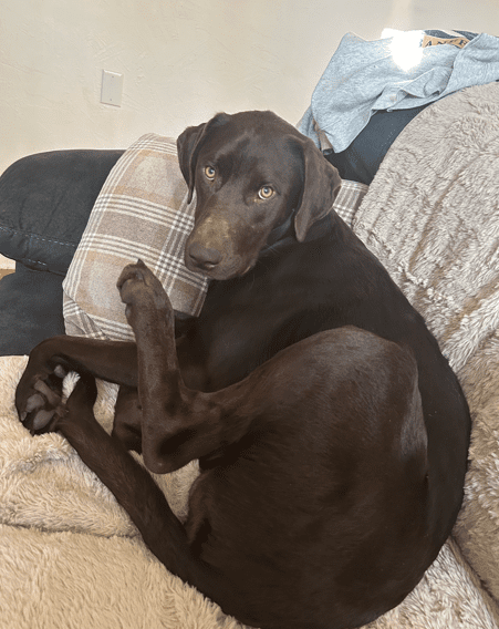 Screenshot-2025-09-16-145722