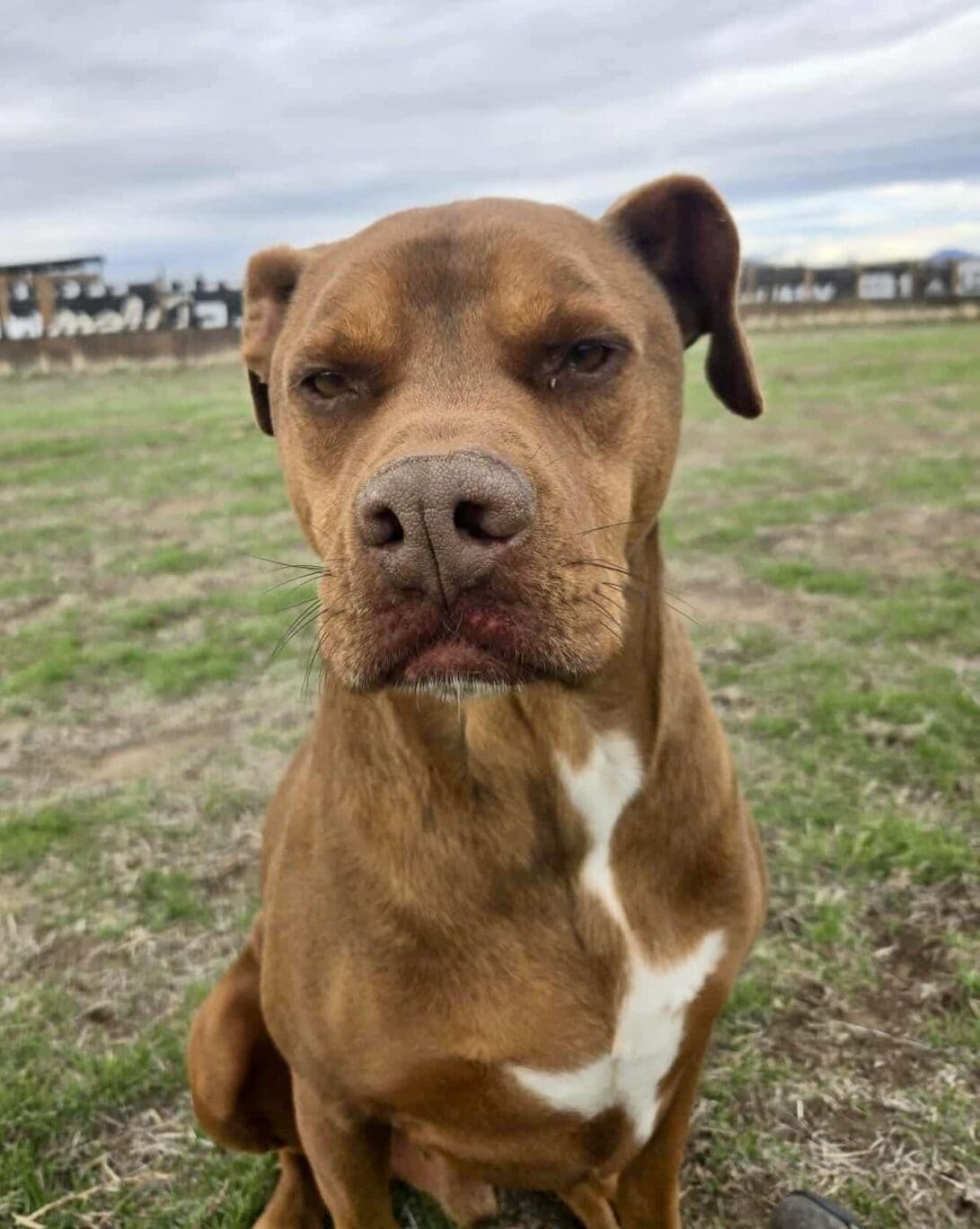 424fc5ab0a6221cc3e2076944c889423