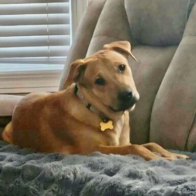 ??????????????????????????????????????????????????????