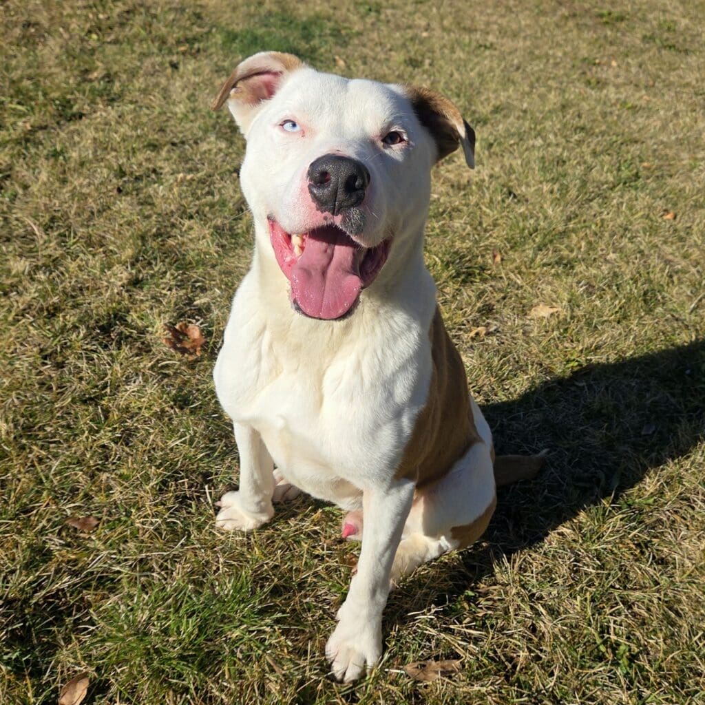 20251201_110547_009_saved