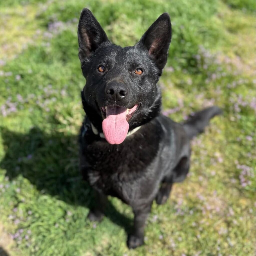 63cb136c14e1a4e4254a0096b6c9700e