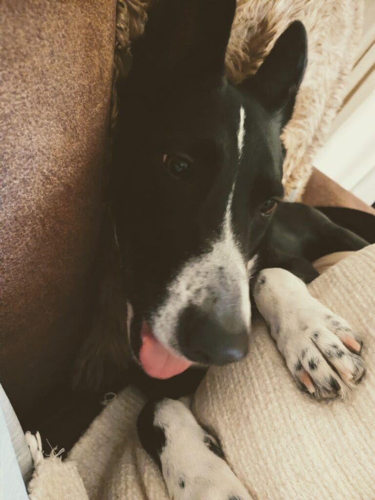 PXL_20260106_0717543102