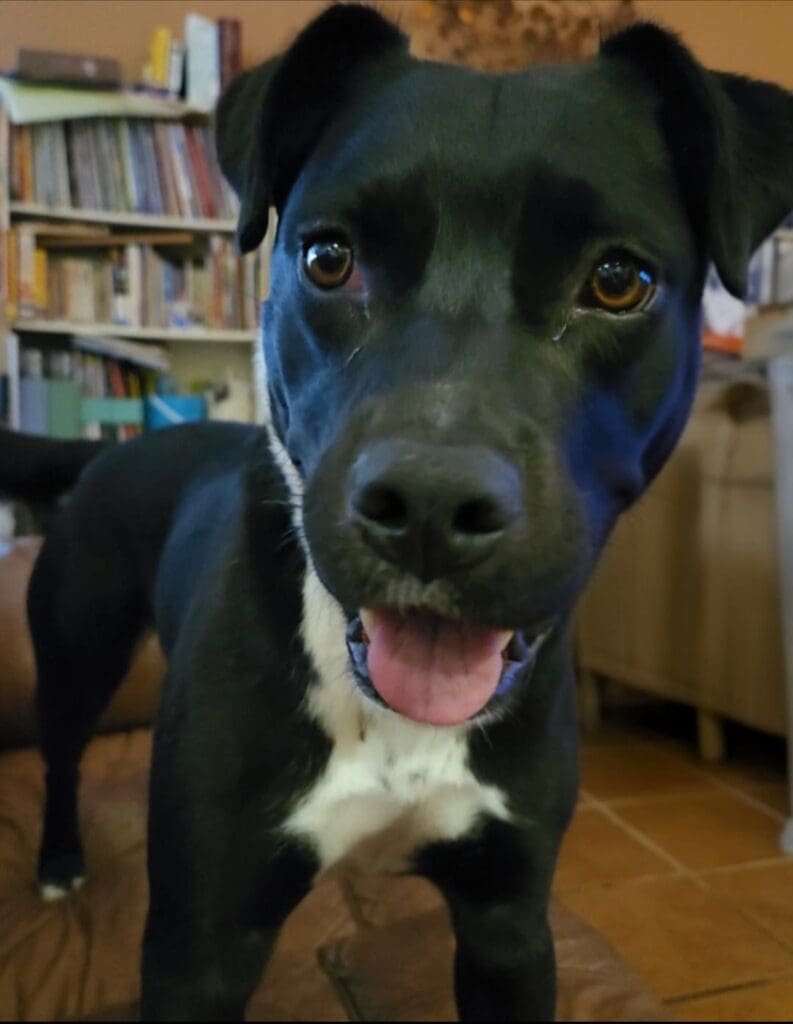 Screenshot_20260114_171419_Gallery