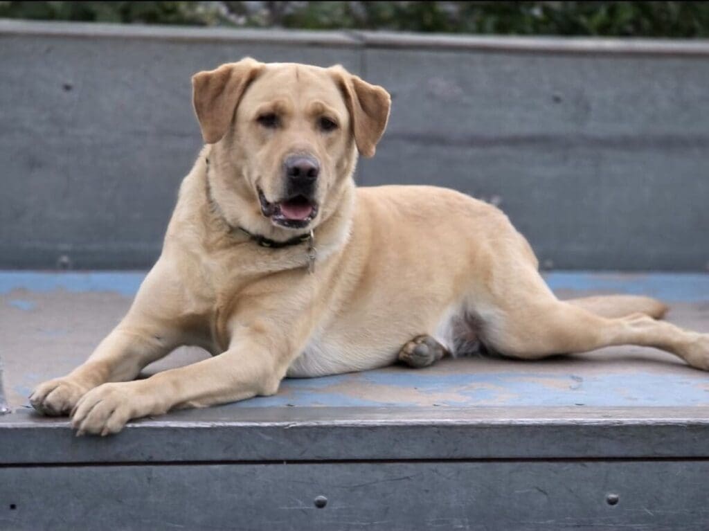 Screenshot_20260210_132616_Photos-scaled