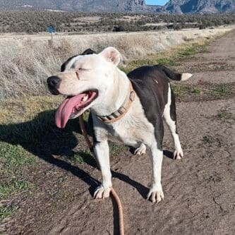 Ramona_smiling_Sanctuary