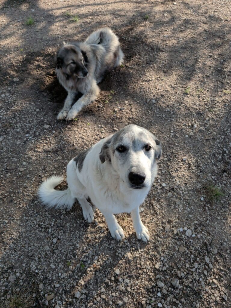 17739619796904177475304087993044