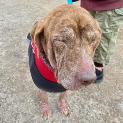 Esperanza_closed_eyes_Feb_2026