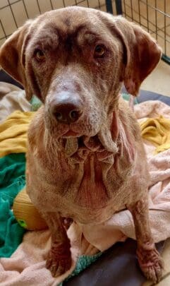 Esperanza_portrait_Feb_2026