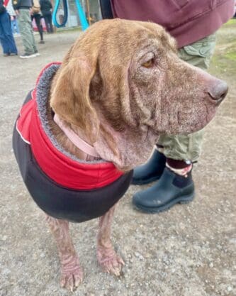 Esperanza_profile_Feb_2026