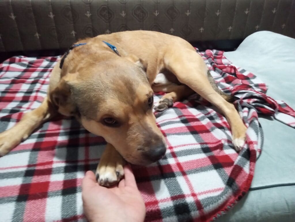 IMG_20260308_062735172