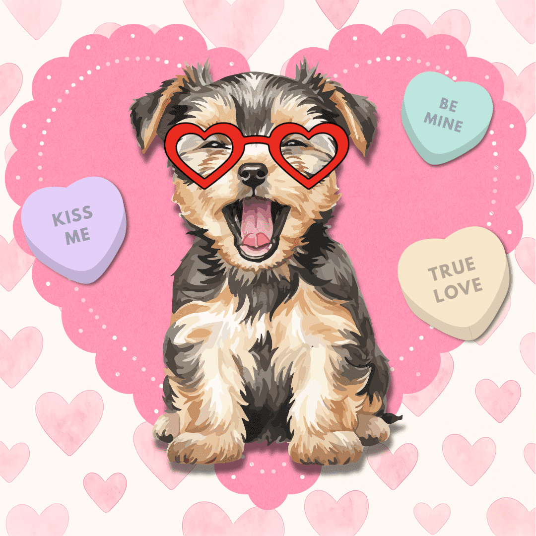 Valentines Day Event