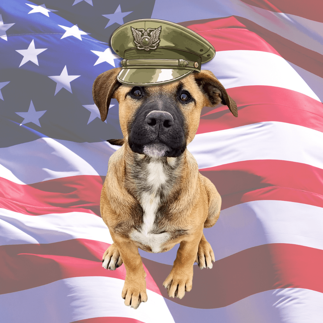 Veterans_Event_final_featured