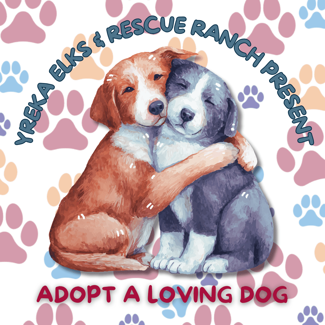 Yreka Elks Adoption Event